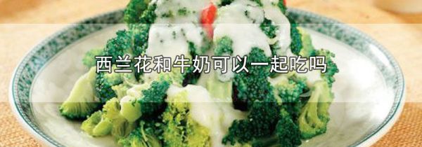 西兰花和牛奶可以一起吃吗