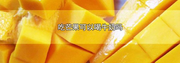 吃芒果可以喝牛奶吗