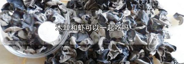 木耳和虾可以一起吃吗