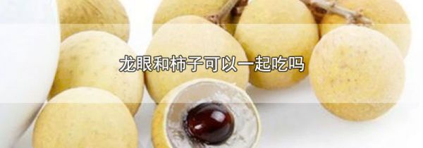 龙眼和柿子可以一起吃吗