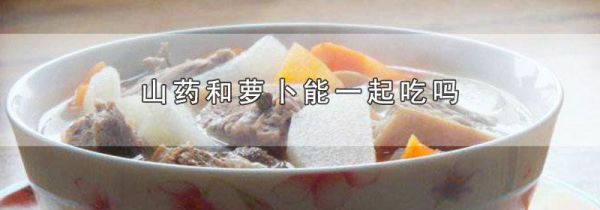山药和萝卜能一起吃吗