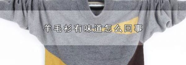 羊毛衫有味道怎么回事
