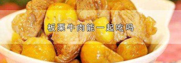 板栗牛肉能一起吃吗