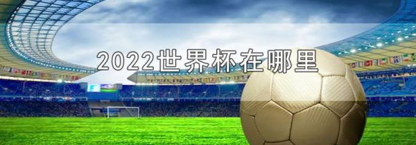 2022世界杯在哪里