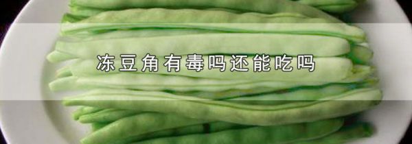 冻豆角有毒吗还能吃吗