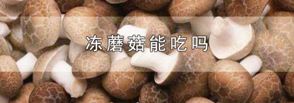 冻蘑菇能吃吗