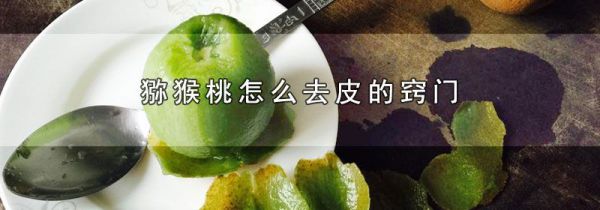 猕猴桃怎么去皮的窍门