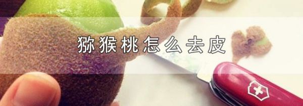 猕猴桃怎么去皮