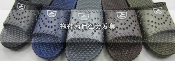 拖鞋为什么会发臭