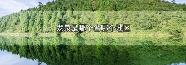 龙泉是哪个省哪个地区
