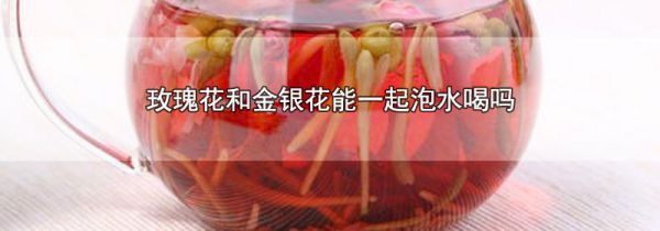 玫瑰花和金银花能一起泡水喝吗