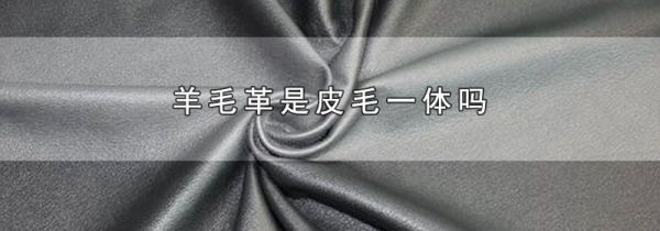 羊毛革是皮毛一体吗