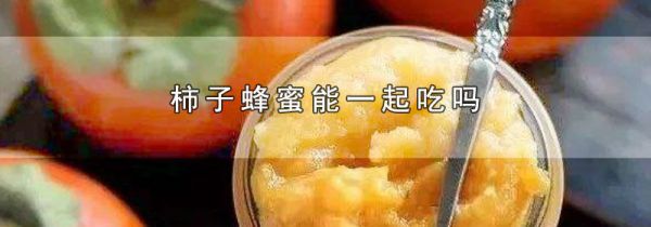 柿子蜂蜜能一起吃吗