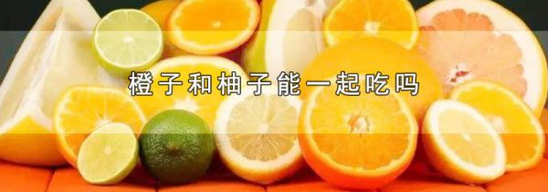 橙子和柚子能一起吃吗