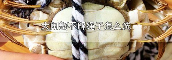 大闸蟹不解绳子怎么洗