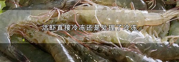 活虾直接冷冻还是处理了冷冻