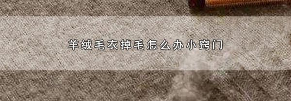 羊绒毛衣掉毛怎么办小窍门