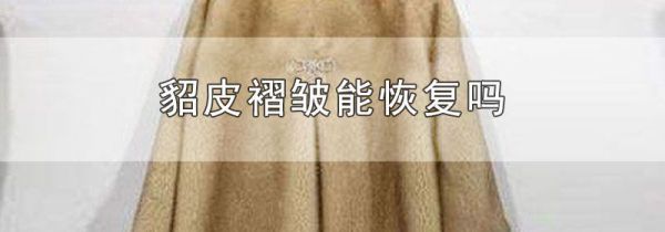 貂皮褶皱能恢复吗