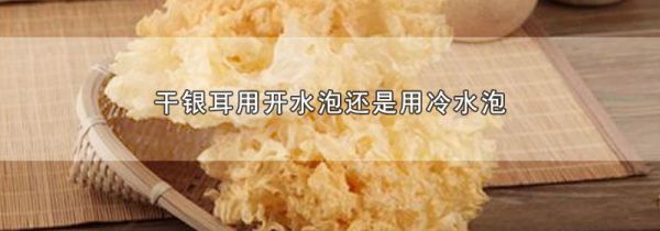干银耳用开水泡还是用冷水泡