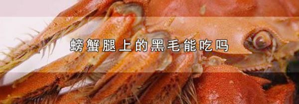 螃蟹腿上的黑毛能吃吗