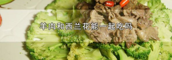 羊肉和西兰花能一起吃吗