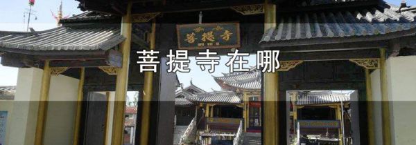 菩提寺在哪
