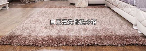自己清洗地毯妙招