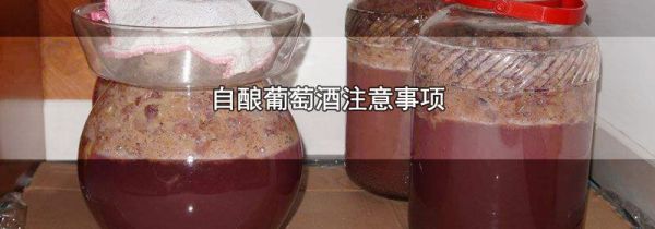 自酿葡萄酒注意事项