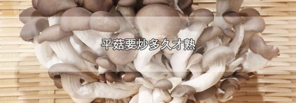 平菇要炒多久才熟