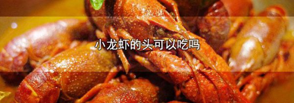 小龙虾的头可以吃吗