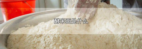 酵米面是什么