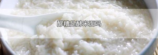醪糟是酵米面吗