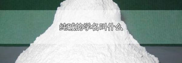 纯碱的学名叫什么