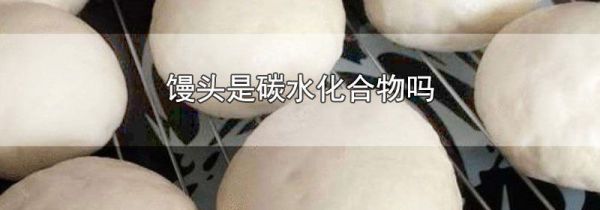 馒头是碳水化合物吗