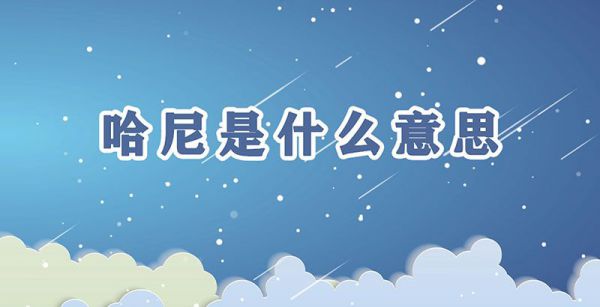 哈尼是什么意思