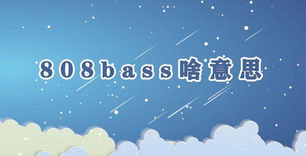 808bass啥意思