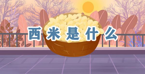 西米是什么