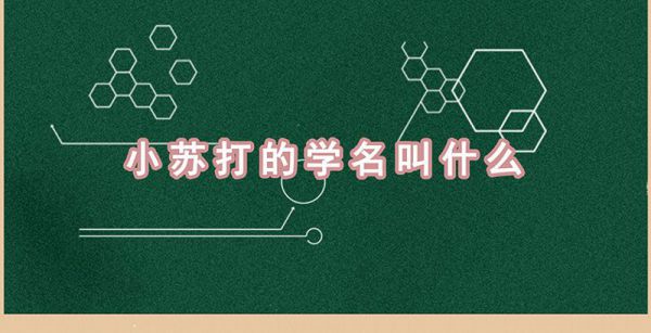 小苏打的学名叫什么