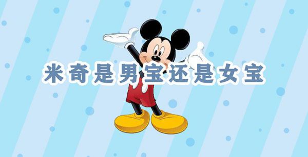 米奇是男宝还是女宝
