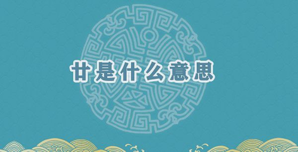 廿是什么意思