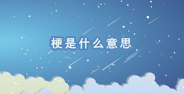 梗是什么意思