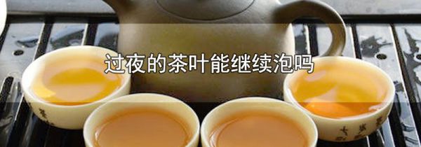 过夜的茶叶能继续泡吗