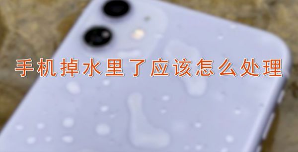 手机掉水里了应该怎么处理