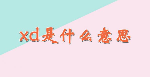 xd是什么意思