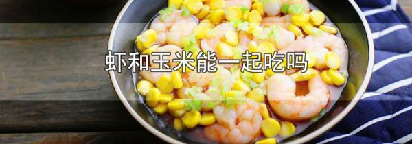 虾和玉米能一起吃吗