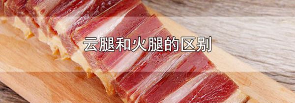 云腿和火腿的区别
