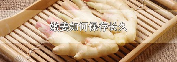 嫩姜如何保存长久