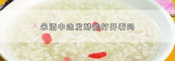米酒中途发酵能打开看吗