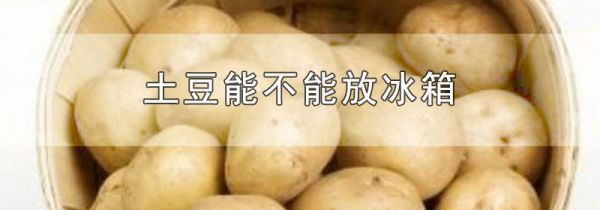 土豆能不能放冰箱