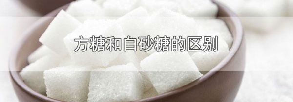 方糖和白砂糖的区别